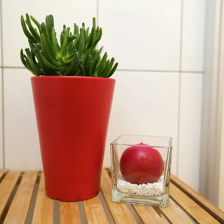 Obersteiner 1 *